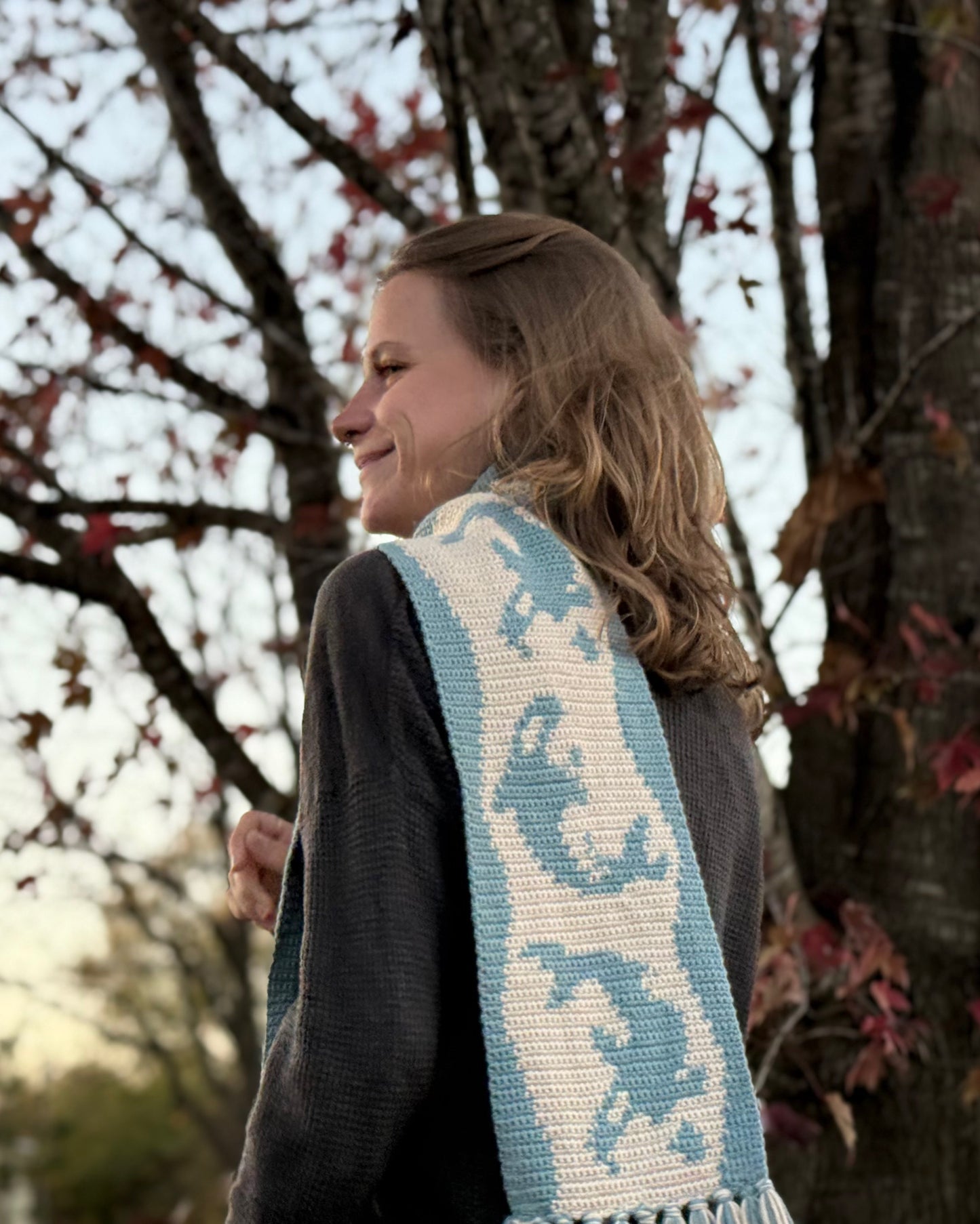 Orca Scarf pattern