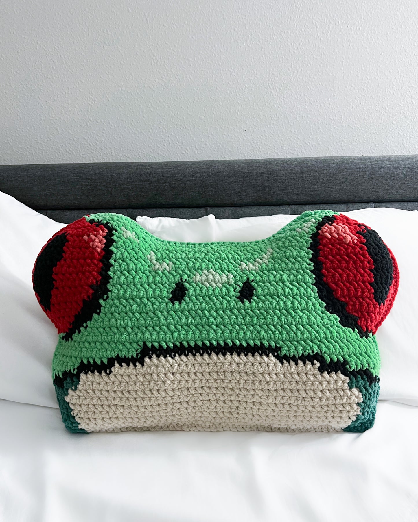 Red-Eyed Tree Frog pillow pattern