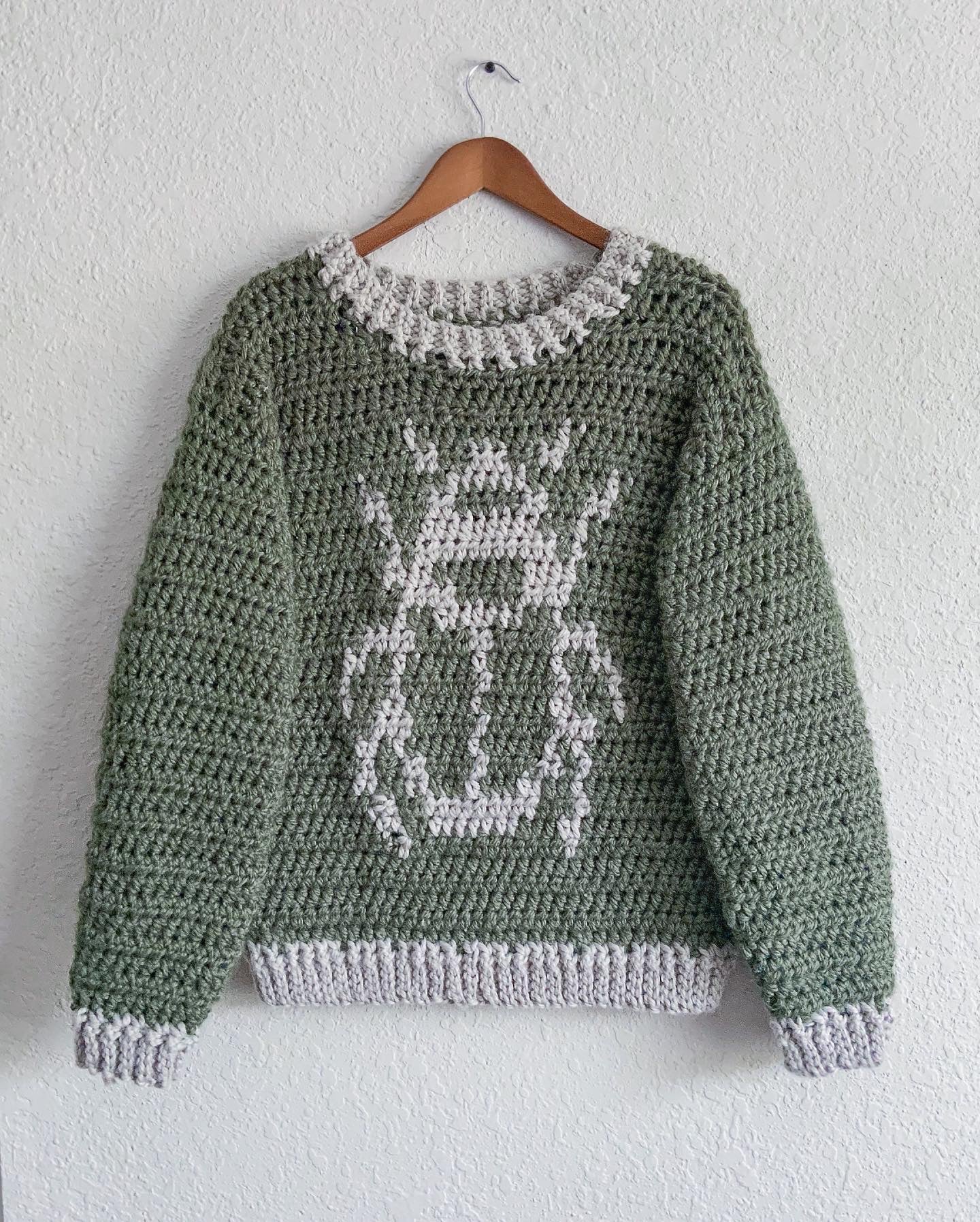 Bug Sweater Pattern