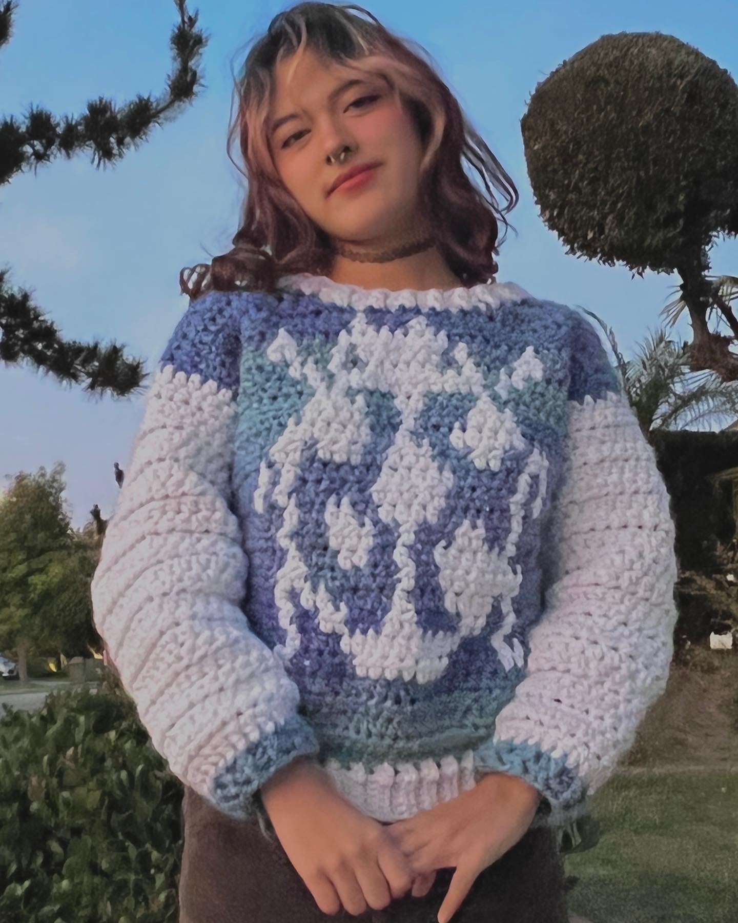 Bug Sweater Pattern