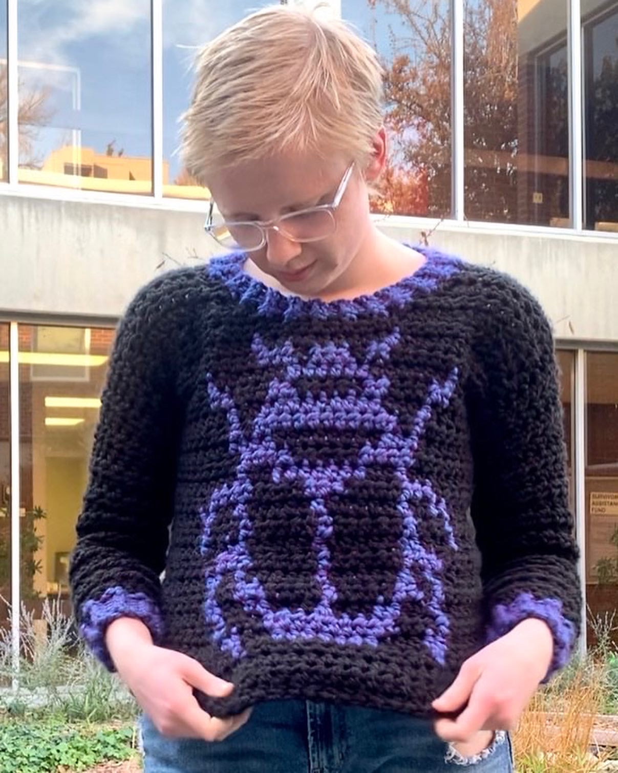 Bug Sweater Pattern