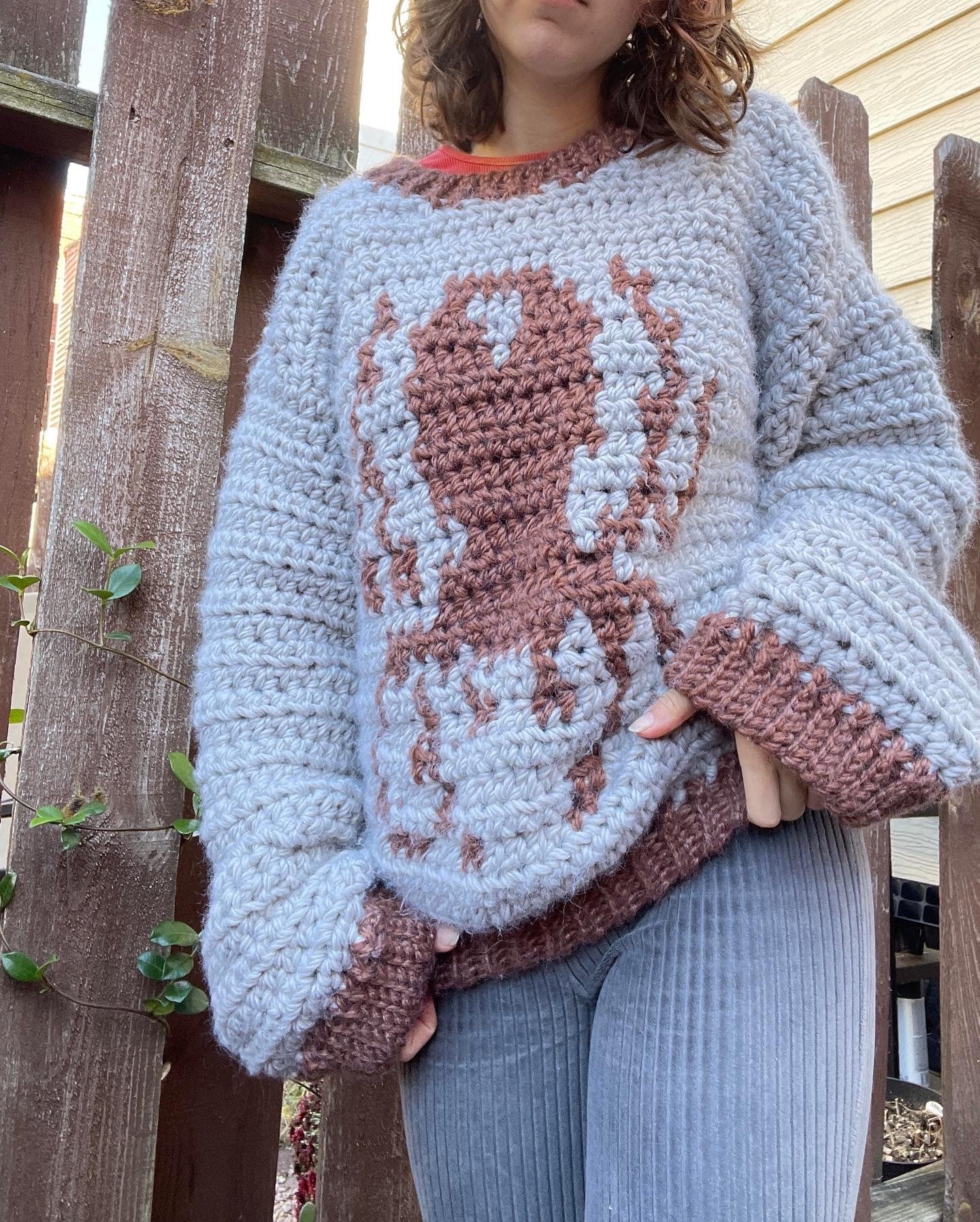 Bug Sweater Pattern