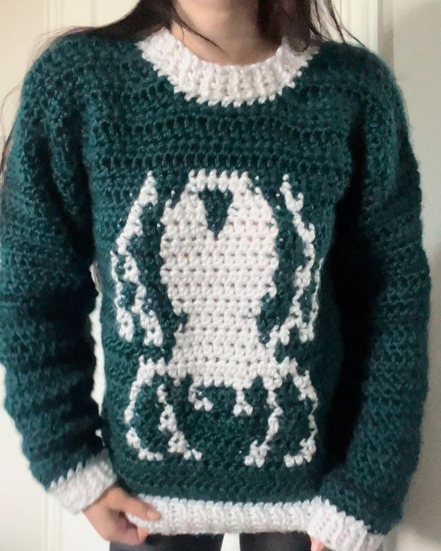 Bug Sweater Pattern