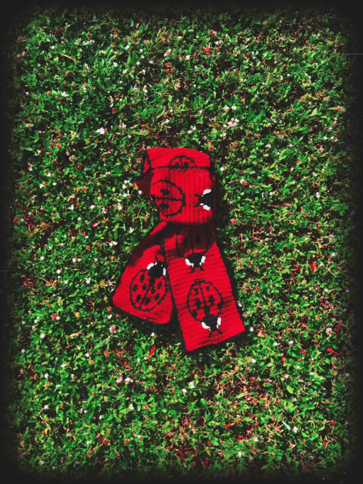 Ladybug Scarf