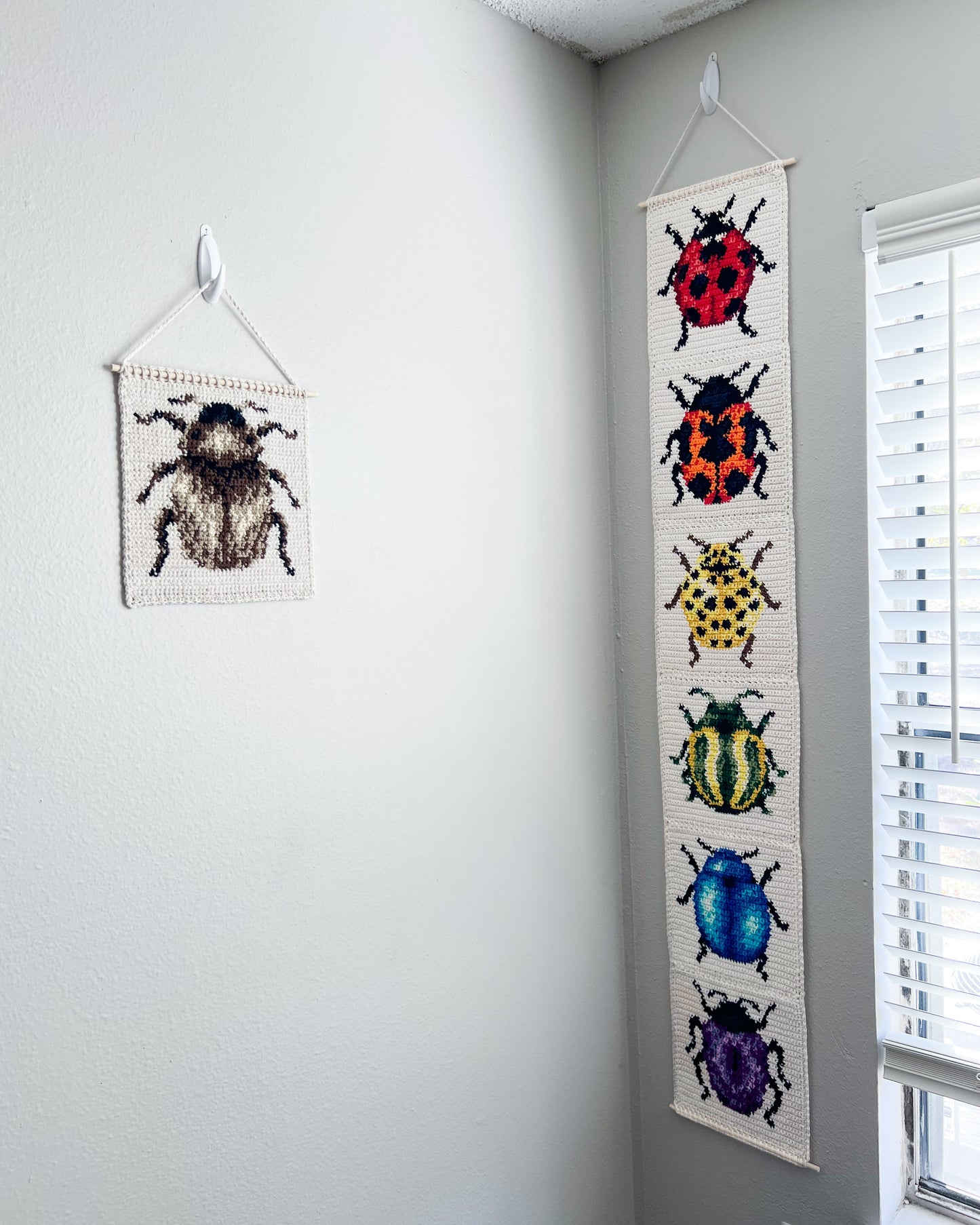 Beetle graph pattern