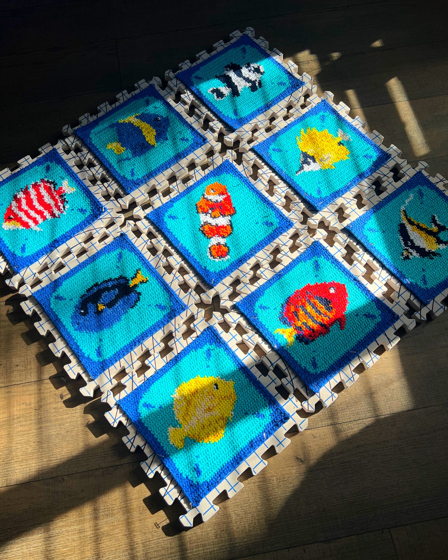 Reef Fish graph pattern