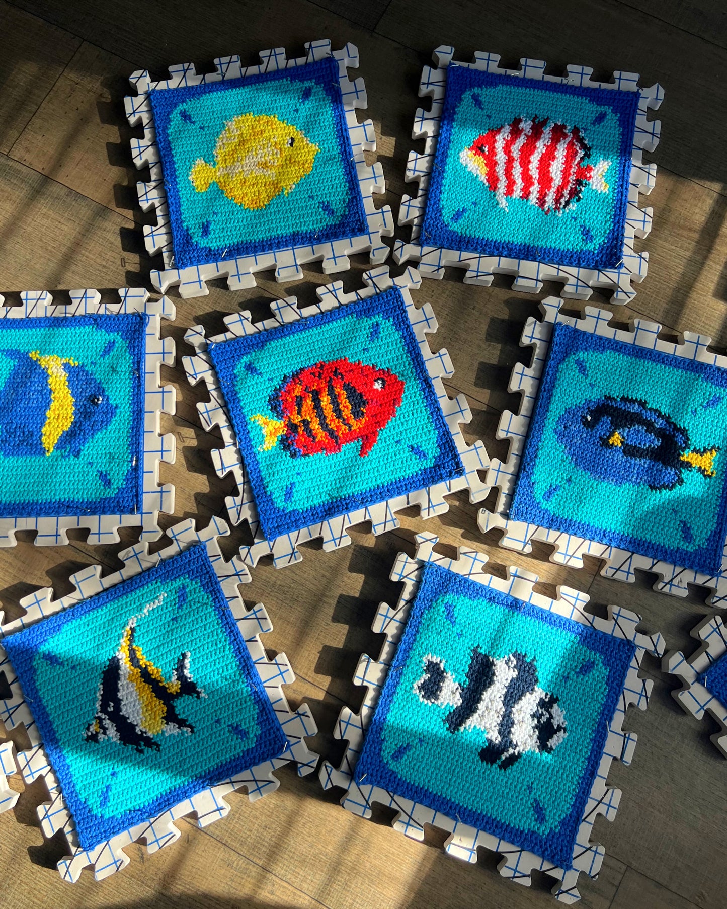 Reef Fish graph pattern