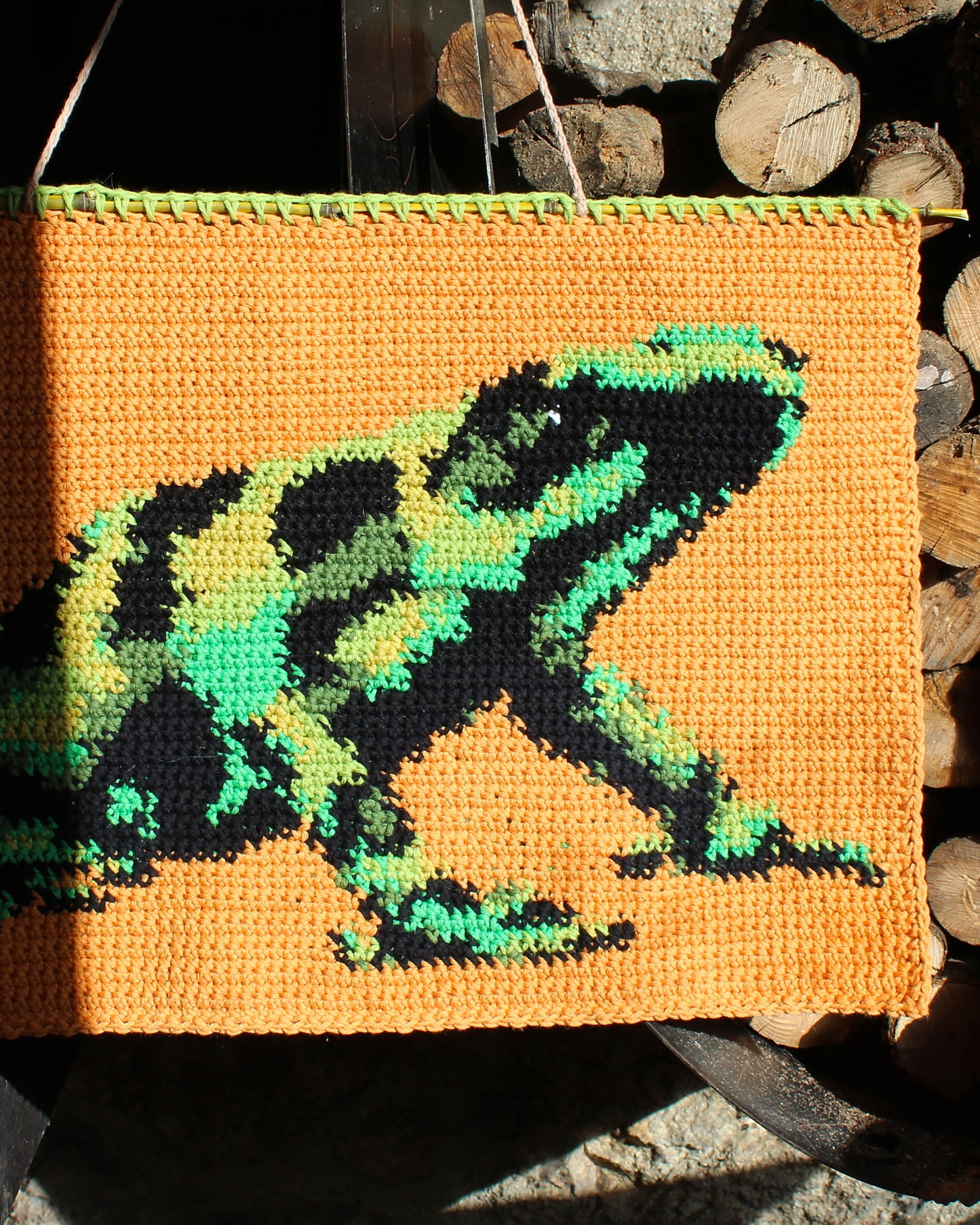 Poison Dart Frog pattern