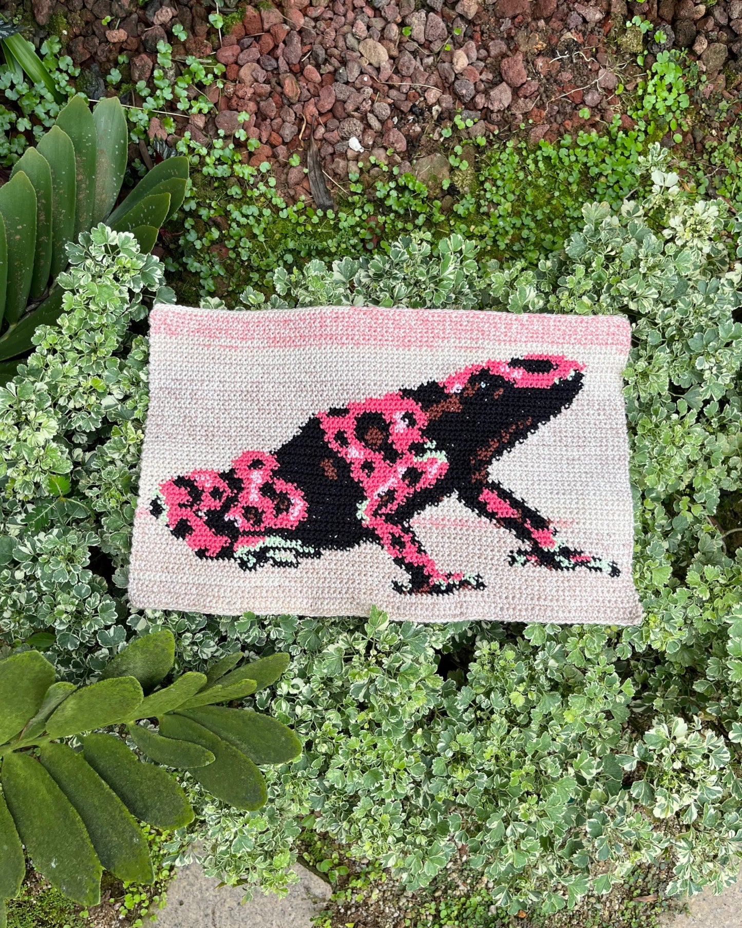 Poison Dart Frog pattern