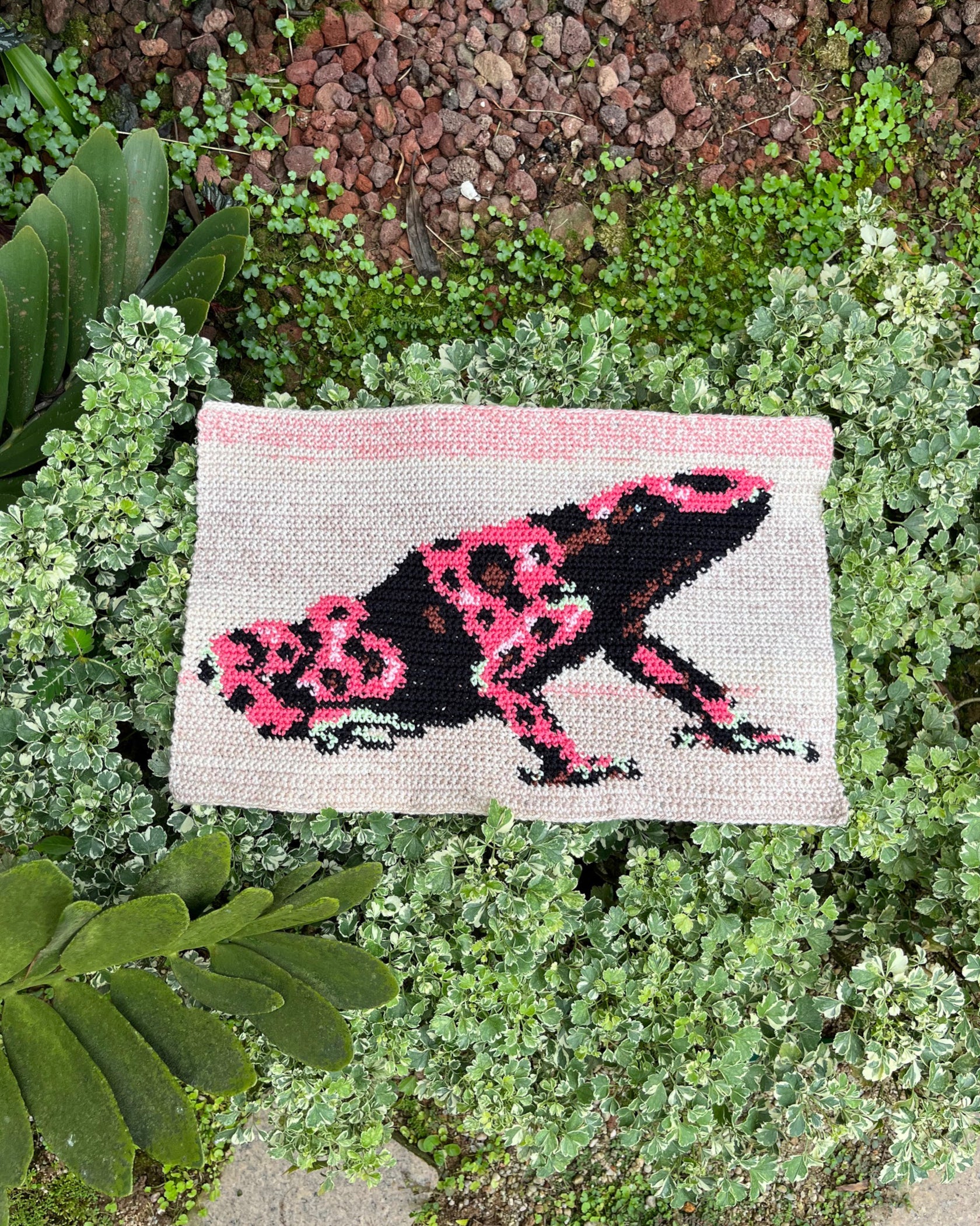 Poison Dart Frog pattern – TyBailie