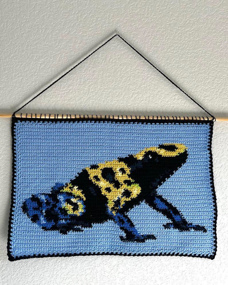 Poison Dart Frog pattern